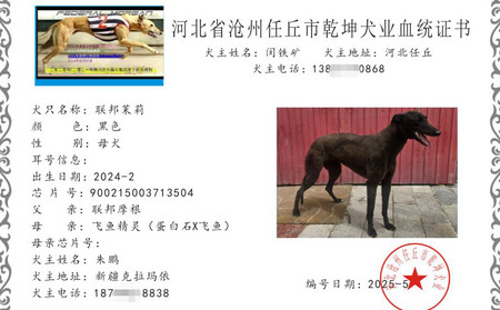 联邦茉莉 900215003713504