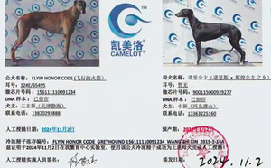 飞行的火箭X诺里公主 900115000929277.jpg