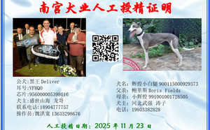黑王X辉煌小白腿 NGXH 717M，900115000929373.jpg