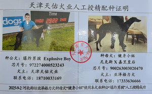 爆炸男孩X健身小姐 900263003020470.jpg