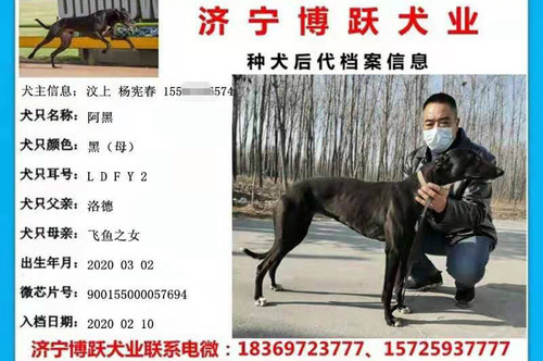 阿黑 900155000057694，LDFY2
