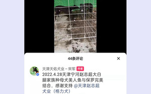 阿斯顿保罗X美人鱼 991001003385816.jpg