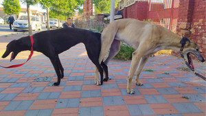 飞行的火箭X赶浪少女 DBZL5，515000187032476.jpg