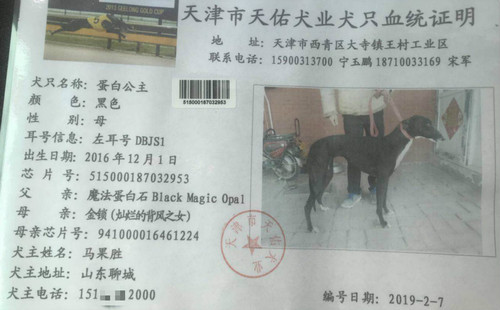 蛋白公主 DBJS1，515000187032953