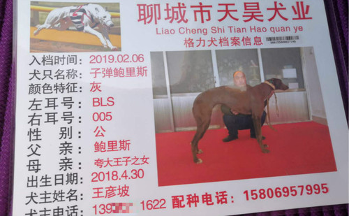 子弹鲍里斯 900155000037146，BLS005