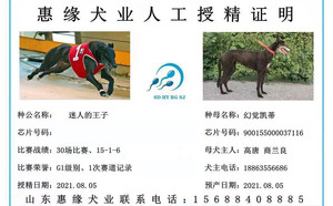 迷人的王子X幻觉凯蒂 900155000037116.jpg