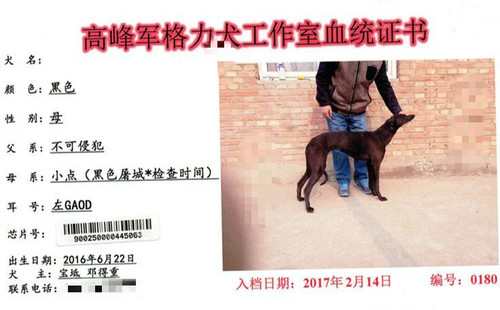 零六三 900250000445063，GAOD