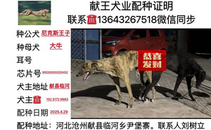 尼克斯王子X大牛 900263003020452.jpg