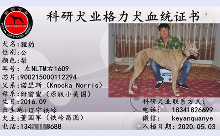 狸豹 900215000112294，NLTM1609