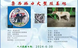 突击队员X花头900022092028755.jpg