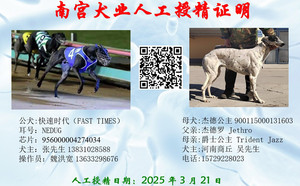 快速时代X杰德公主 DH152，900115000131603.jpg