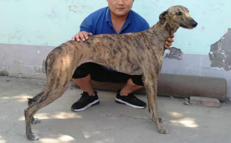 非凡少女 990000001070556，FFYY1607