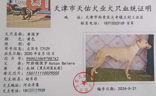 黄保罗 900023069708742，T712Y