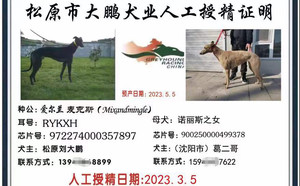 麦克斯X艾里斯 900250000499378，NLXH1702.jpg