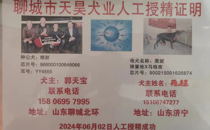 喷射X黑妮 900215001626874，J611C.jpg