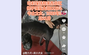 哈利保持X十二万 941000225081212.jpg
