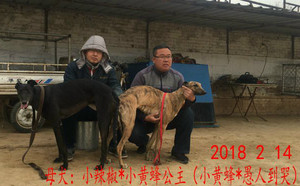 飞鱼X耳毛子 900250000253851，GAOD.jpg