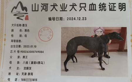 墨玉 900263000749084