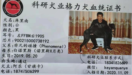 库里南 900215000738192，FFBN1905