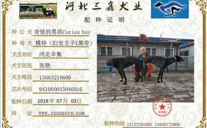 奇怪的男孩X模特 941000015046916，HJHD.jpg