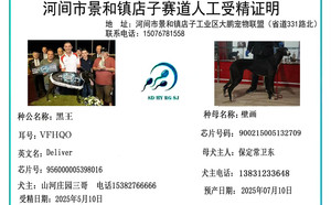 黑王X壁画 900215005132709.jpg