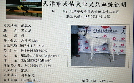 雨花石 DBHT1，941000225080549