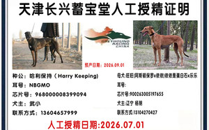 哈利保持X旺旺900263005197655.jpg