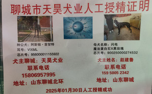 阿斯顿吉甘特X闪电 TY341，900250000274532.jpg