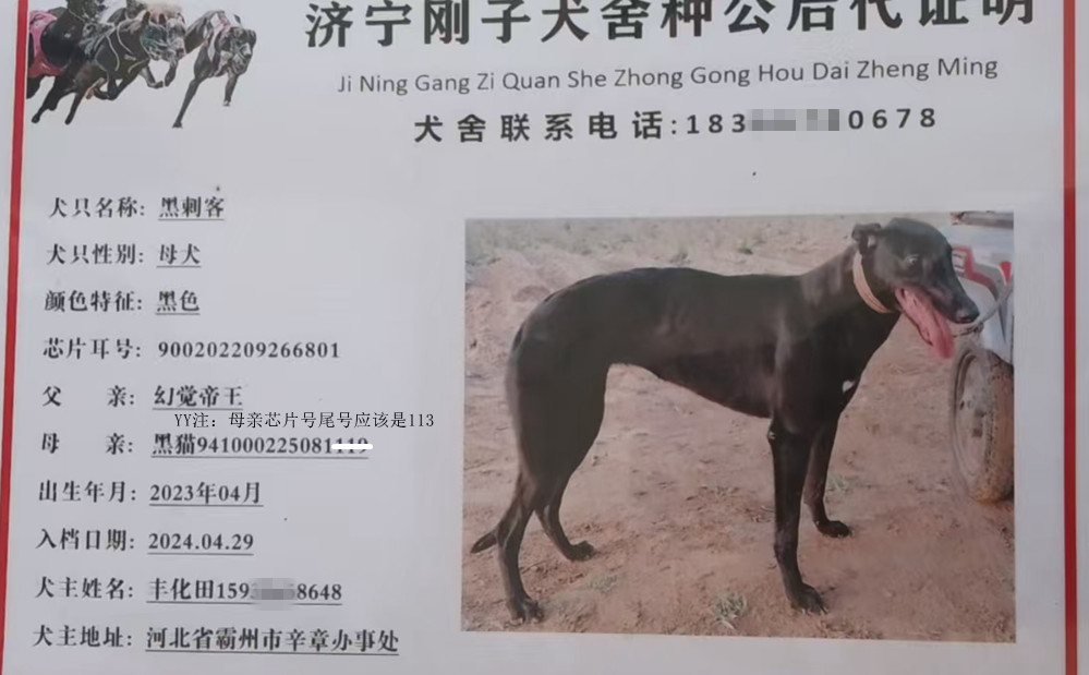 黑刺客900202209266801.jpg