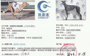 卡尼亚游轮X黑妞 900215005748895.jpg