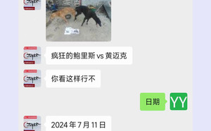 疯狂的鲍里斯X黄迈克 900155000038224.jpg