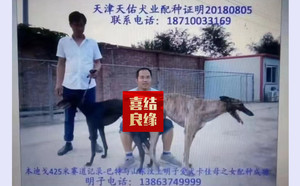 巴特X盛地卡佳 900215001894571.jpg
