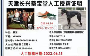 黑王X宇宙明珠 900111880715321，HJWCYZLLS.jpg