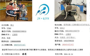 黑王X度界花貂 900168021050779，B2012.jpg