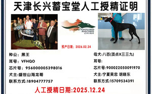 黑王X八百 900022050091970.jpg