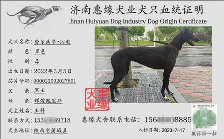 费尔南多·闪电 900022092027601