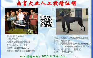 黑王X雪碧公主900219000992888.jpg