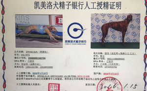 弹簧枪X900111880089666.jpg