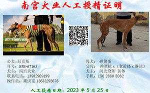 尼克斯X弹簧蛋 J69A，900250000483882.jpg