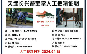 快速时代X玫瑰 900215005135449，941000225080856.jpg