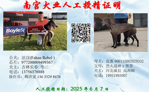 法汉X皮蛋 900115002829332，NGXH722BA2.jpg