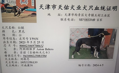 白腿 900023069708632，T593Y