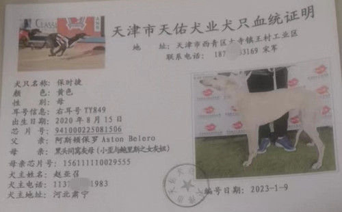 保时捷 941000225081506，TY849