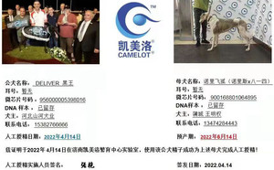 黑王X诺里飞狐 900168801064895.jpg