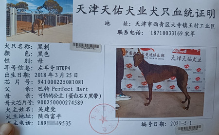 黑刺 BTKP4，941000225081081