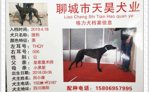 捷豹 THQY006