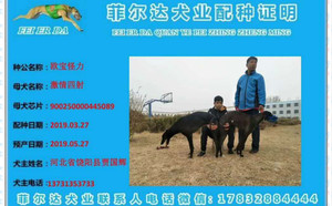欧宝怪力X基情四射 CY197，900250000445089，证书上错误记录为CY196.jpg