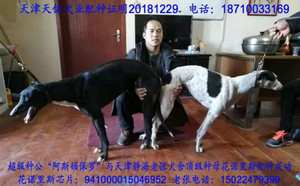 阿斯顿保罗X花诺里斯 941000015046952.jpg