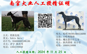 贵族包装X哈利 992001000226098.jpg