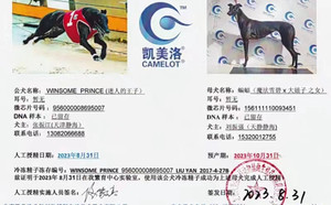 迷人的王子X蝙蝠 156111110093451.jpg